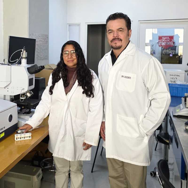 Desarrolla IPN un biosensor que detecta la bacteria asociada a la gastritis y al cáncer de estómago