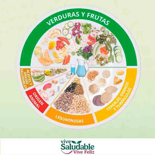 Vida Saludable