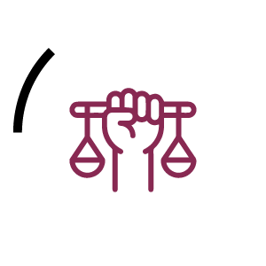 Derechos politécnicos